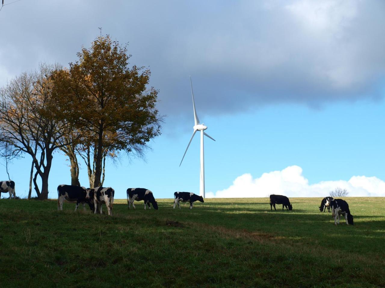 Hotel Haus Seeblick Nideggen Eksteriør bilde